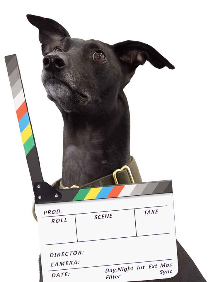 Loki_Clapperboard